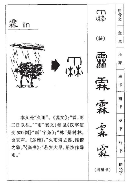 霖日意思|霖（汉语文字）